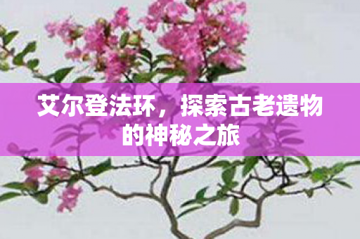 艾尔登法环，探索古老遗物的神秘之旅