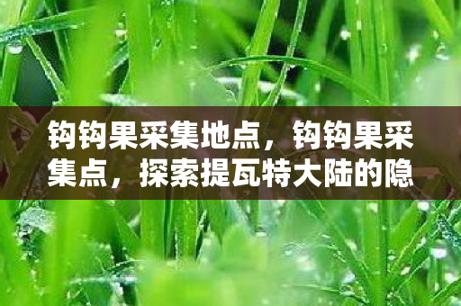 钩钩果采集地点，钩钩果采集点，探索提瓦特大陆的隐秘宝藏