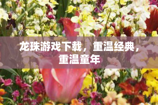 龙珠游戏下载，重温经典，重温童年