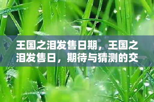 王国之泪发售日期，王国之泪发售日，期待与猜测的交汇点