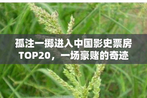 孤注一掷进入中国影史票房TOP20，一场豪赌的奇迹