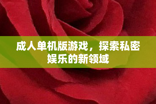 成人单机版游戏，探索私密娱乐的新领域