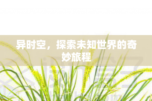 异时空，探索未知世界的奇妙旅程
