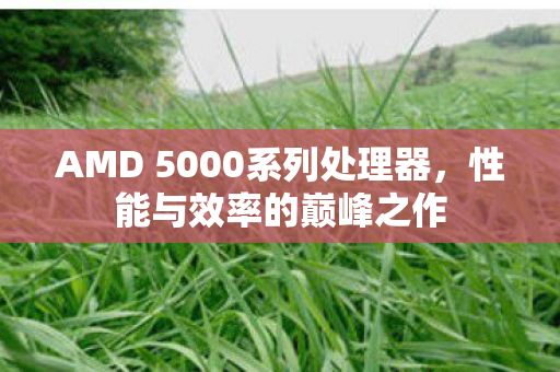AMD 5000系列处理器，性能与效率的巅峰之作