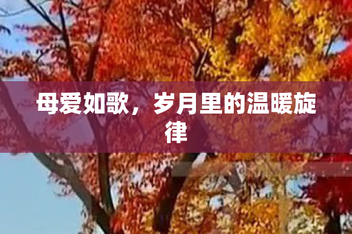母爱如歌，岁月里的温暖旋律