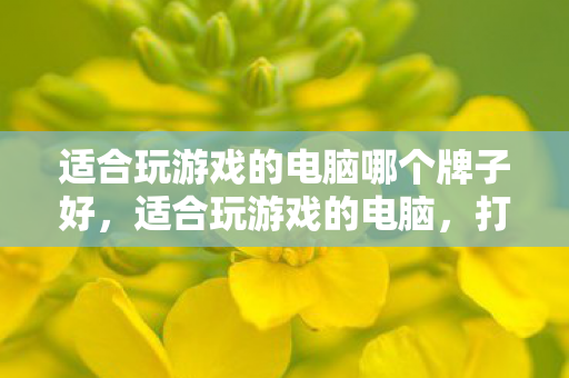 适合玩游戏的电脑哪个牌子好图片