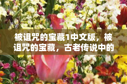 被诅咒的宝藏1中文版，被诅咒的宝藏，古老传说中的未解之谜