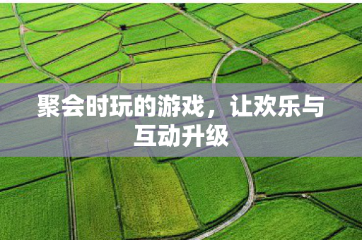 聚会时玩的游戏，让欢乐与互动升级