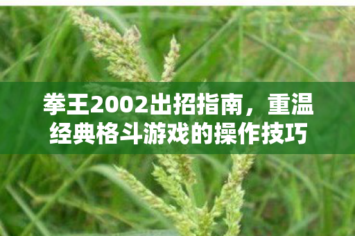 拳王2002出招指南，重温经典格斗游戏的操作技巧