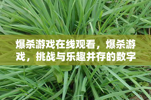 爆杀游戏在线观看，爆杀游戏，挑战与乐趣并存的数字娱乐新纪元