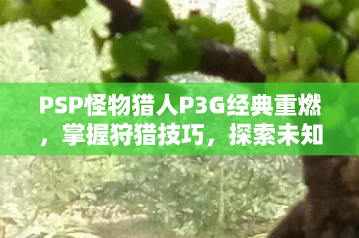 PSP怪物猎人P3G经典重燃,掌握狩猎技巧,探索未知领域 PSP怪物猎人P3G经典重燃,掌握狩猎技巧,探索未知领域