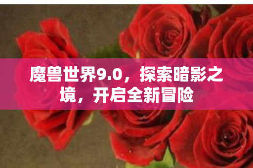 魔兽世界9.0，探索暗影之境，开启全新冒险