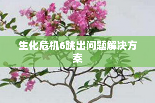 生化危机6跳出问题解决方案