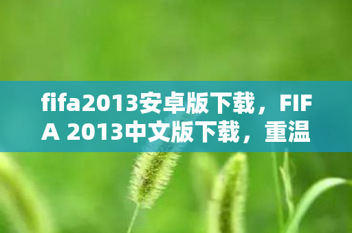 fifa2013安卓版下载，FIFA 2013中文版下载，重温经典，重温足球激情