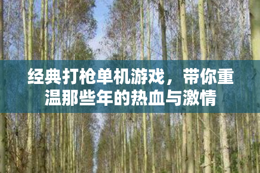 经典打枪单机游戏，带你重温那些年的热血与激情