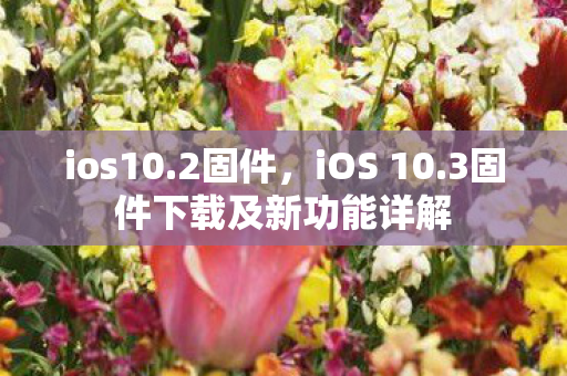 ios10.2固件，iOS 10.3固件下载及新功能详解