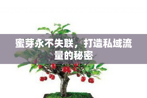 蜜芽永不失联，打造私域流量的秘密