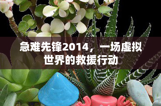 急难先锋2014，一场虚拟世界的救援行动