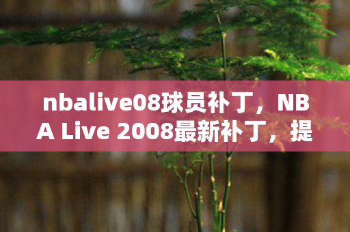 nbalive08球员补丁，NBA Live 2008最新补丁，提升游戏体验，修复常见问题