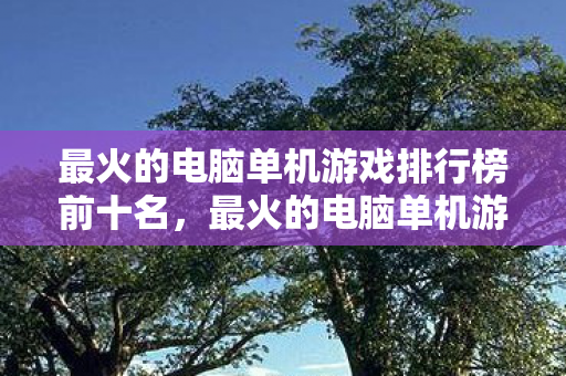 最火的电脑单机游戏排行榜前十名，最火的电脑单机游戏