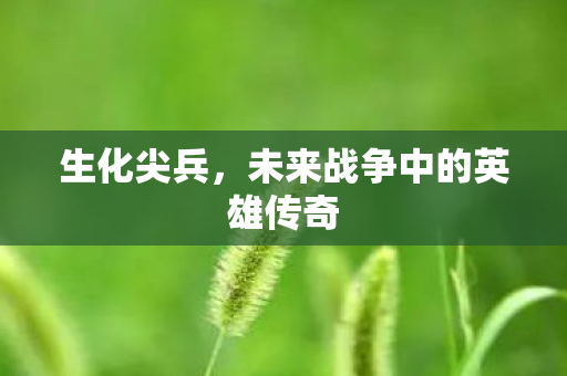 生化尖兵，未来战争中的英雄传奇