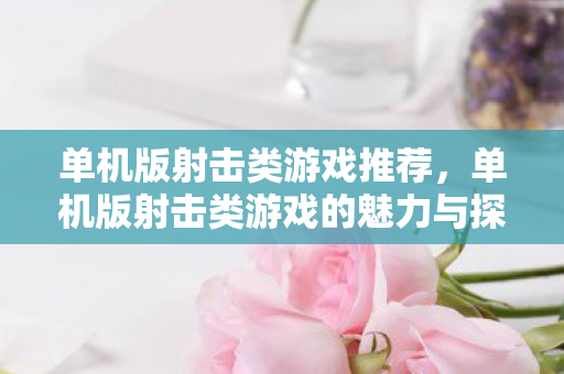 单机版射击类游戏推荐，单机版射击类游戏的魅力与探索