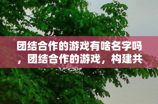 团结合作的游戏有啥名字吗，团结合作的游戏，构建共赢的团队精神