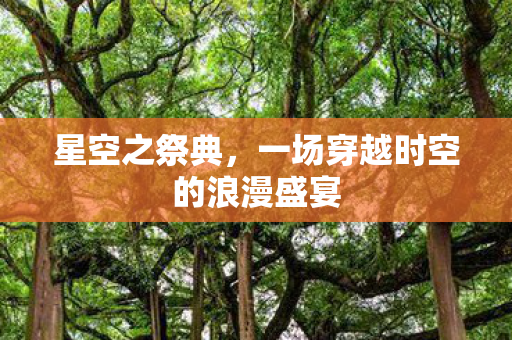 星空之祭典，一场穿越时空的浪漫盛宴