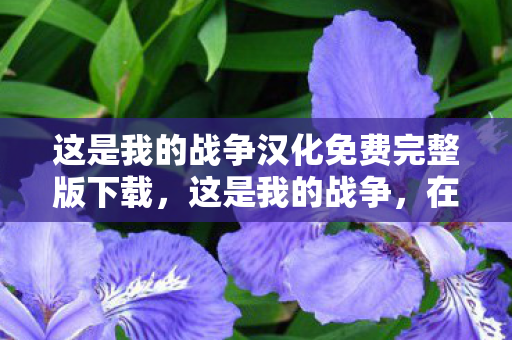 这是我的战争汉化免费完整版下载，这是我的战争，在冲突中寻找人性的光辉