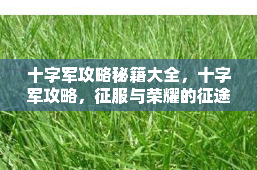 十字军攻略秘籍大全，十字军攻略，征服与荣耀的征途