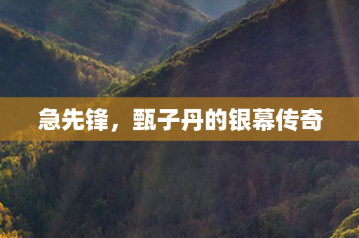 急先锋，甄子丹的银幕传奇