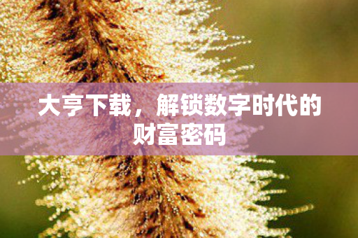 大亨下载，解锁数字时代的财富密码