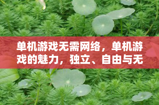 单机游戏无需网络，单机游戏的魅力，独立、自由与无限可能
