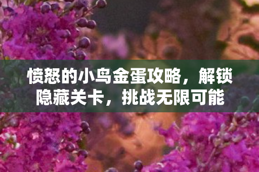 愤怒的小鸟金蛋攻略，解锁隐藏关卡，挑战无限可能