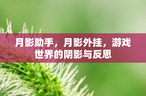 月影助手,月影外挂,游戏世界的阴影与反思 月影助手,月影外挂,游戏世界的阴影与反思
