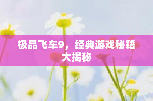 极品飞车9，经典游戏秘籍大揭秘