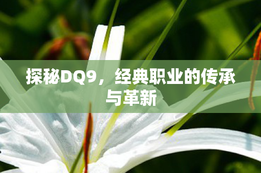 探秘DQ9，经典职业的传承与革新