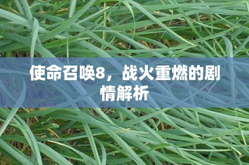 使命召唤8，战火重燃的剧情解析