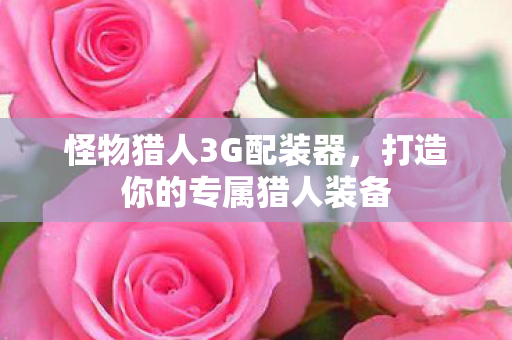 怪物猎人3G配装器，打造你的专属猎人装备