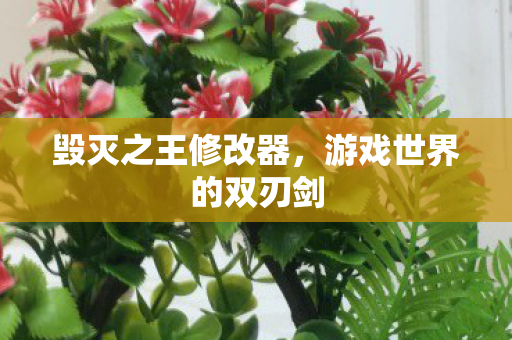 毁灭之王修改器,游戏世界的双刃剑 毁灭之王修改器,游戏世界的双刃剑