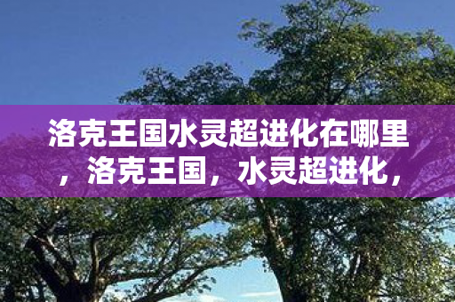 洛克王国水灵超进化在哪里，洛克王国，水灵超进化，解锁全新冒险！