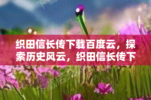 织田信长传下载百度云,探索历史风云,织田信长传下载与解读 织田信长传下载百度云,探索历史风云,织田信长传下载与解读