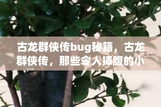 古龙群侠传bug秘籍，古龙群侠传，那些令人捧腹的小错误