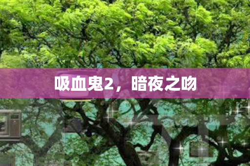 吸血鬼2，暗夜之吻