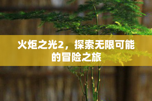 火炬之光2,探索无限可能的冒险之旅 火炬之光2,探索无限可能的冒险之旅