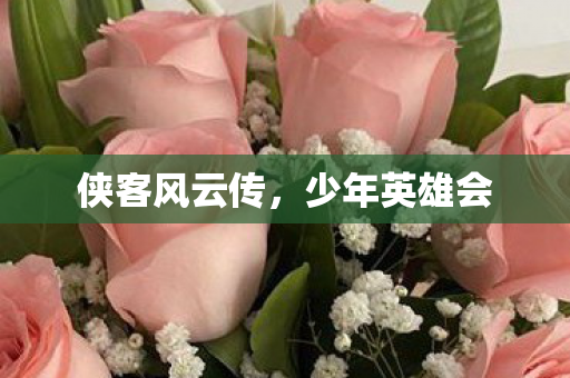 侠客风云传,少年英雄会 侠客风云传,少年英雄会