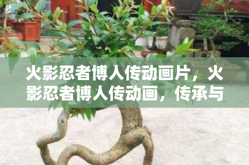 火影忍者博人传动画片，火影忍者博人传动画，传承与变革的忍者世界