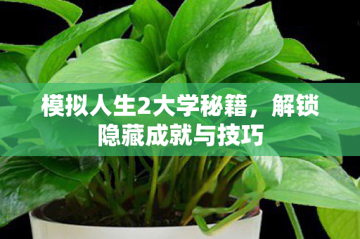 模拟人生2大学秘籍，解锁隐藏成就与技巧