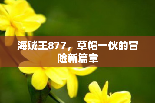 海贼王877,草帽一伙的冒险新篇章 海贼王877,草帽一伙的冒险新篇章