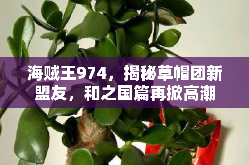 海贼王974,揭秘草帽团新盟友,和之国篇再掀高潮 海贼王974,揭秘草帽团新盟友,和之国篇再掀高潮